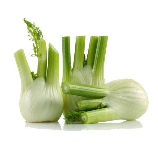 Picture of All Fruits & Veg. Fennel Kg
