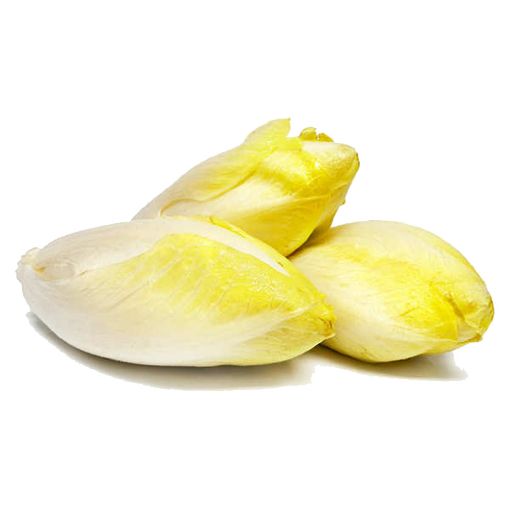 Picture of All Fruits & Veg. Chicory/Endives 500g
