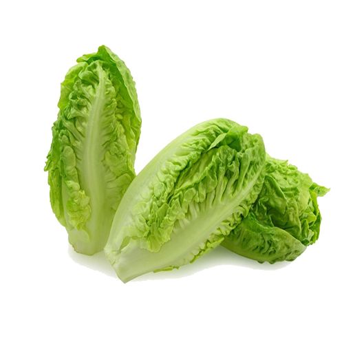 Picture of All Fruits & Veg. Little Gem Lettuce