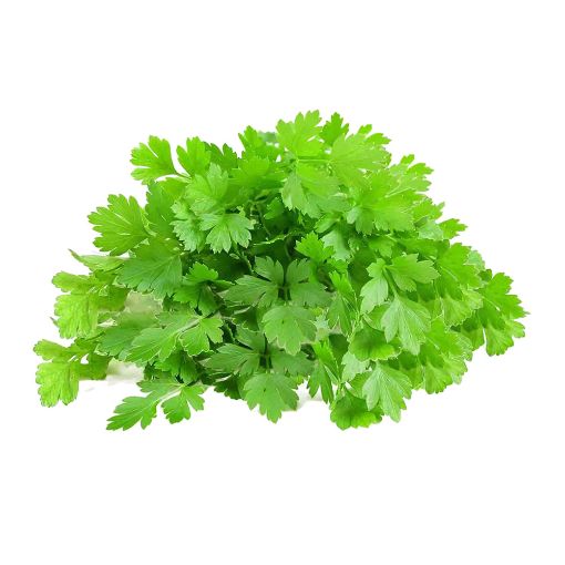 Picture of All Fruits & Veg Fresh Parsley Kg
