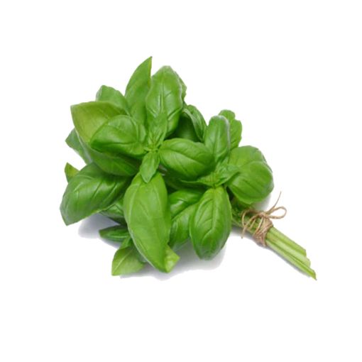 Picture of All Fruits & Veg Basil 100g