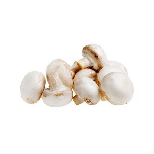 Picture of All Fruits&Veg White Mushroom Medium Kg