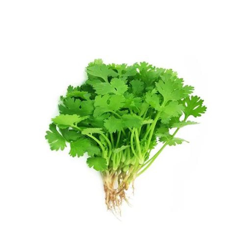 Picture of Naj Coriander Pcs