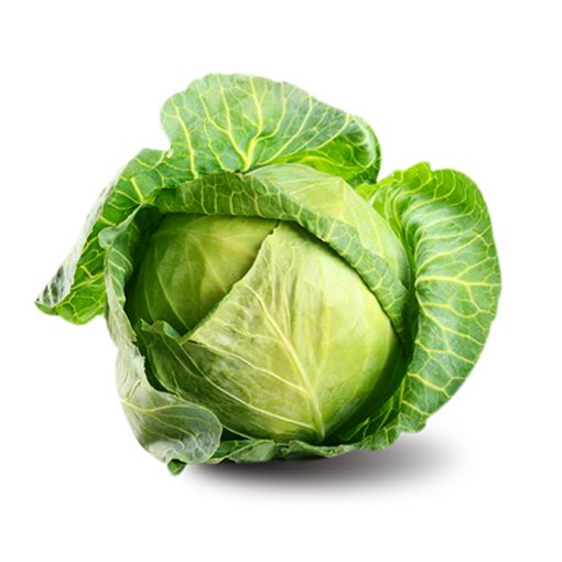 Picture of Eden Tree Cabbage 9