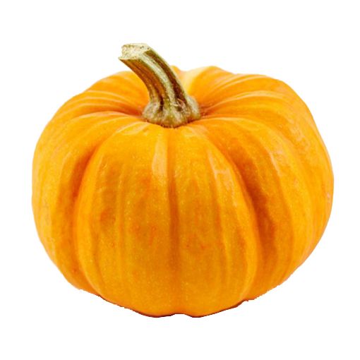 Picture of Eden Tree Pumpkin (Pcs)
