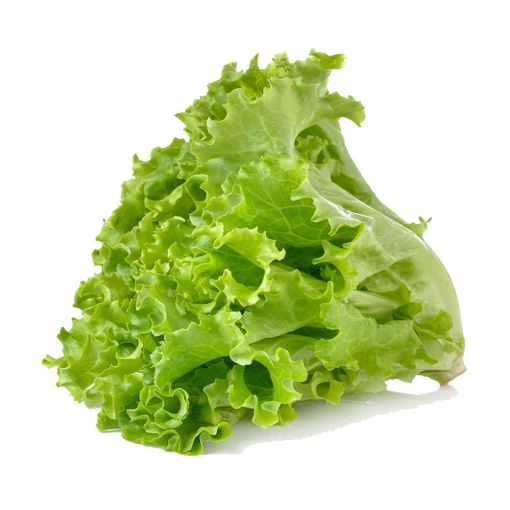 Picture of Eden Tree Lettuce (GL)