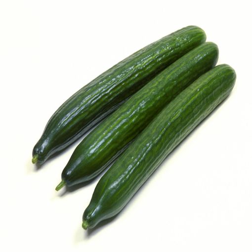 Picture of Eden Tree Long Cucumber