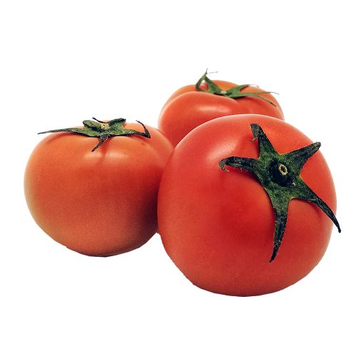 Picture of Eden Tree Tomatoes GL