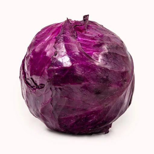 Picture of Five Star Red Cabbage Kg