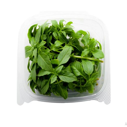 Picture of Five Star Basil Pkt
