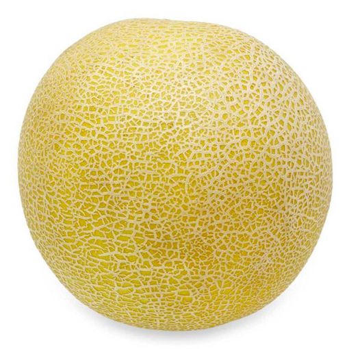 Picture of The Fruit Master Galia Melon Kg