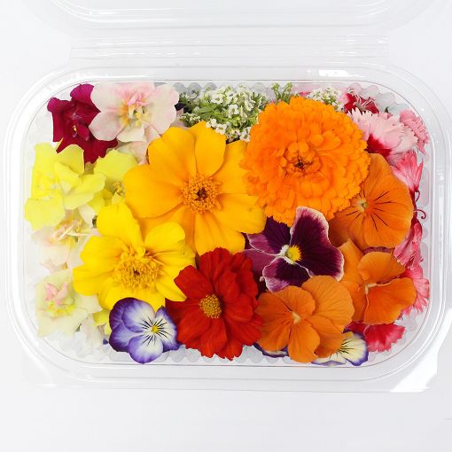 Picture of Fruit Master Edible Flowers 25g