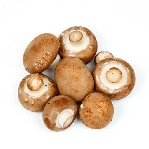 Picture of Fruit Master Mushroom Brown Kg
