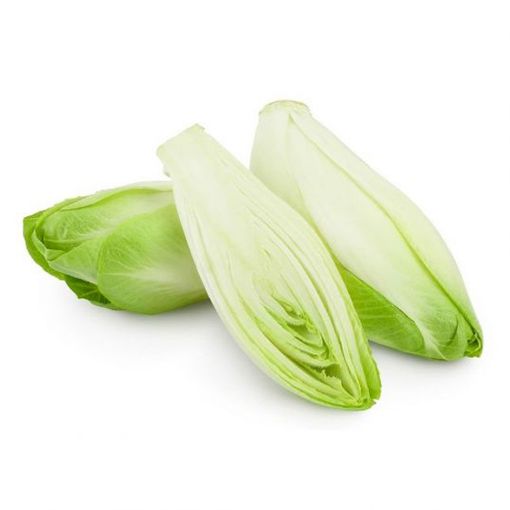 Picture of Fruit Master Chicory Kg