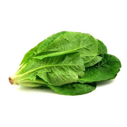 Picture of Fruit Master Romaine Lettuce Kg