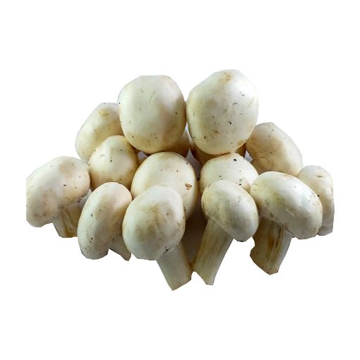 Picture of Fruit Master Mushroom White Kg