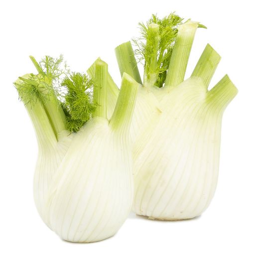 Picture of Fruit Master Fennel Kg