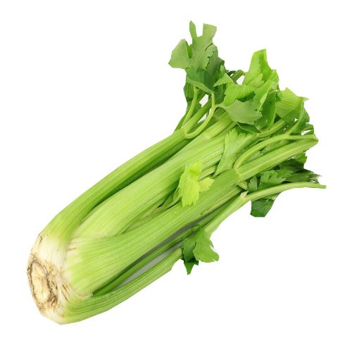 Picture of Fruit Master Celery Kg