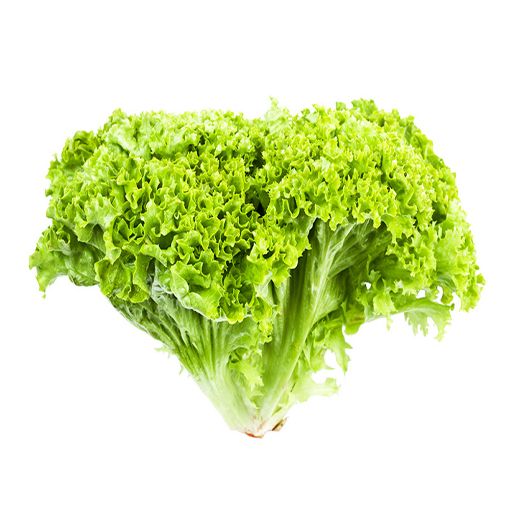 Picture of Fruit Master Lettuce Lollo Pcs