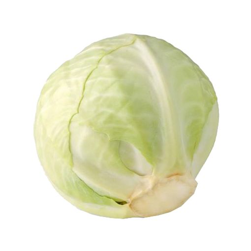 Picture of Fruit Master White Cabbage Kg