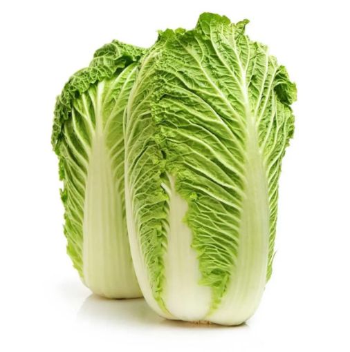 Picture of Fruit Masters Chinese Cabbage