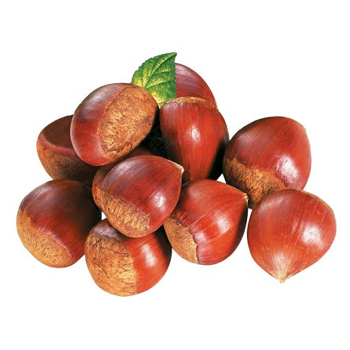 Picture of Greeny Chestnut Kg