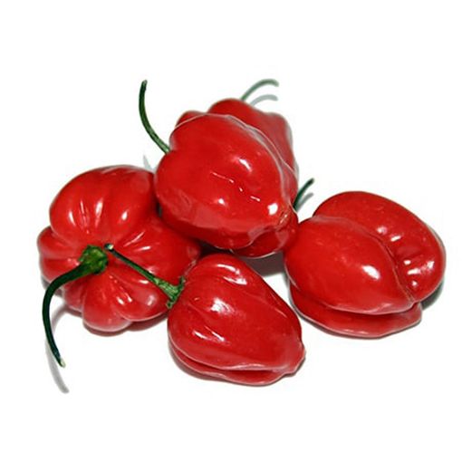 Picture of Greeny Red Pepper Kg