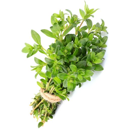 Picture of Greeny Wild Thyme Pcs
