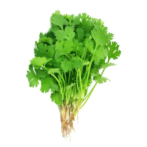 Picture of Akkari Coriander Kg