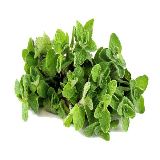 Picture of Greeny Zaatar Zoubaa