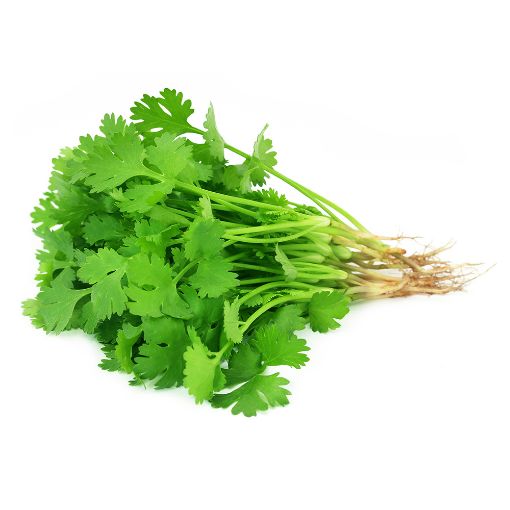 Picture of Greeny Coriander Kg