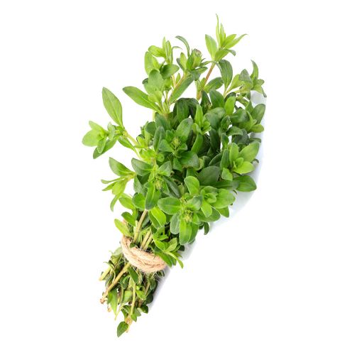 Picture of Akkari Wild Thyme Kg