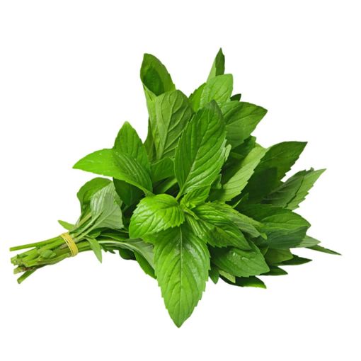 Picture of Inno Organic Mint Bundle
