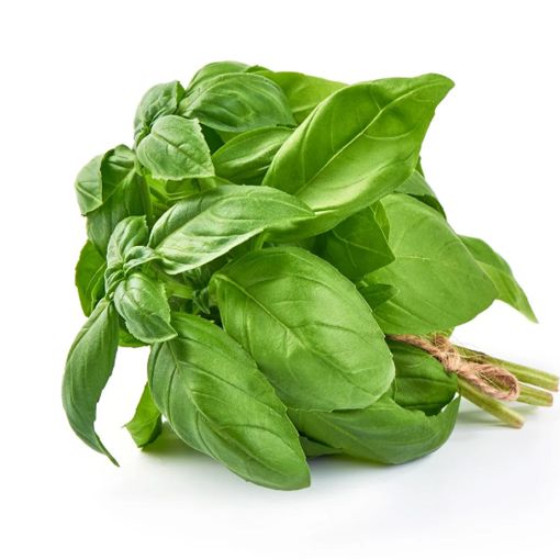Picture of Inno Organic Basil