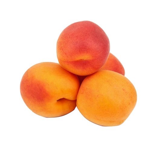 Picture of Issa.  Apricot  Kg