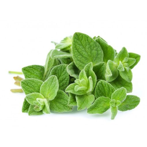 Picture of Iss. Oregano Kg