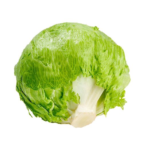 Picture of Lucas Iceburg Lettuce Pcs