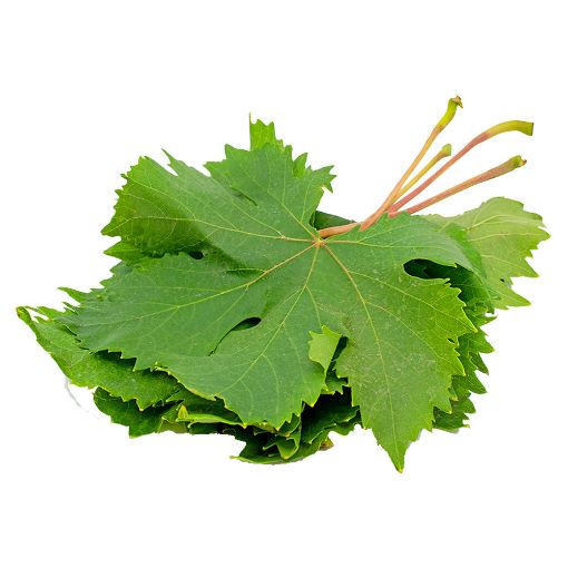 Picture of Max Mart Grape Leaves