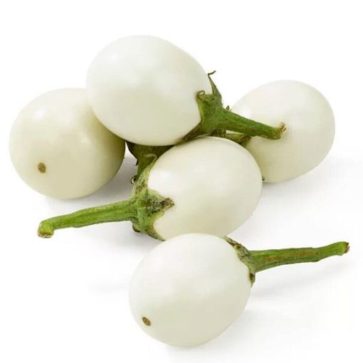 Picture of Thelma Mini White Egg Plant Pack