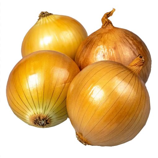 Picture of Trad Yellow Onion Pcs 1Kg
