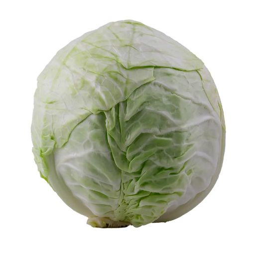 Picture of Trad White Cabbage Kg