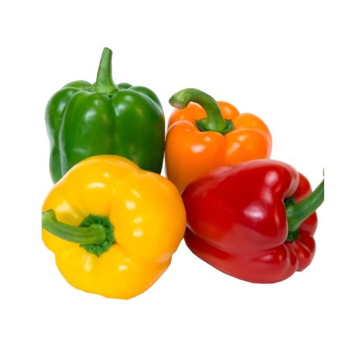 Picture of Trad Mix Color Sweet Pepper 500g