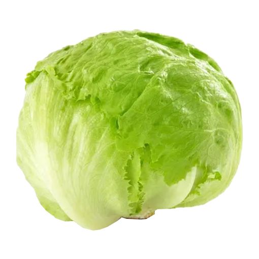 Picture of Vandana Iceburg Lettuce Pcs