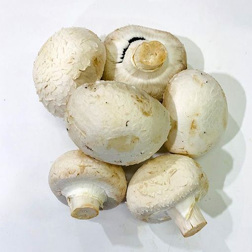 Picture of Van Button Mushrooms White 250g