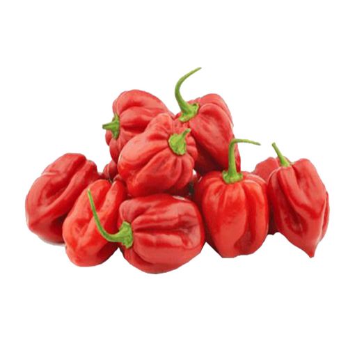 Picture of Vandana Red Pepper Kg