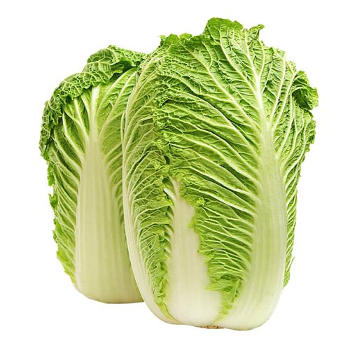 Picture of W.I.L Chinese Cabbage Pcs