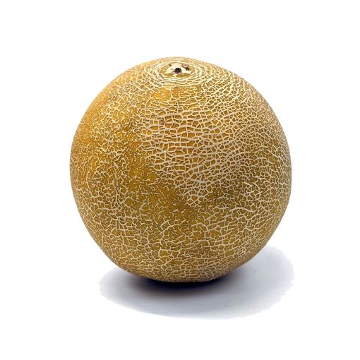 Picture of W.I.L Galia Melon Kg