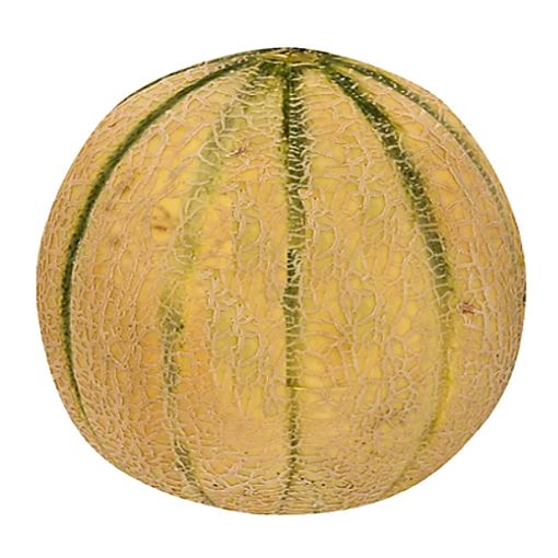 Picture of W.I.L Cantelope Melon Kg